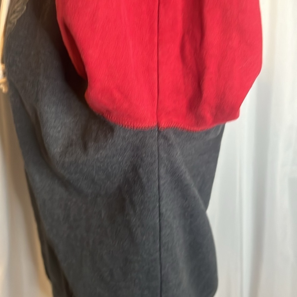 MM192 American eagle outfitters two tone screen printed hoodie - Picture 8 of 10